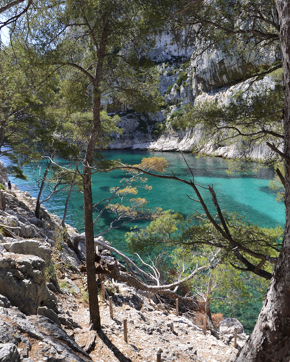 Calanque d'En-Vau Cassis
