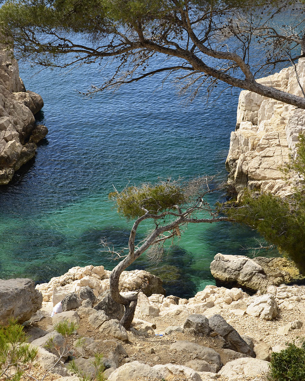 Calanques de Cassis Sugiton